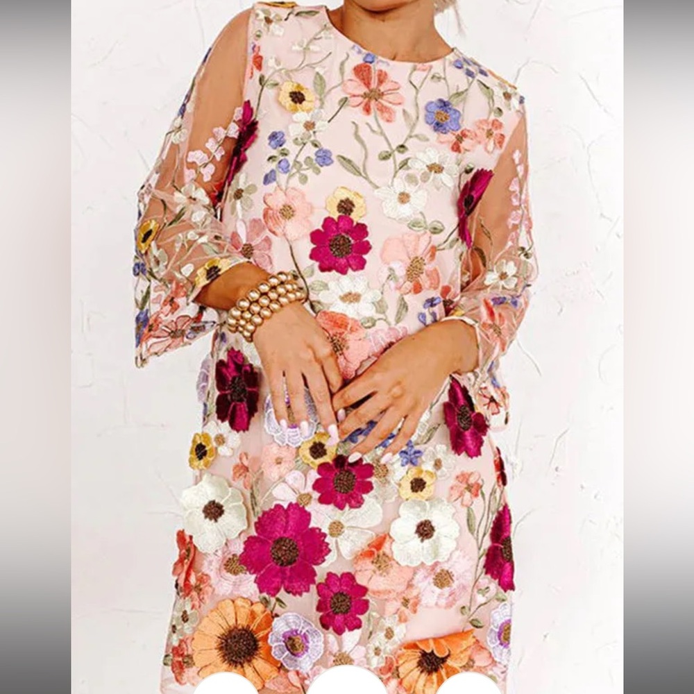 Floral Embroidered Sheer Long Sleeve Dress